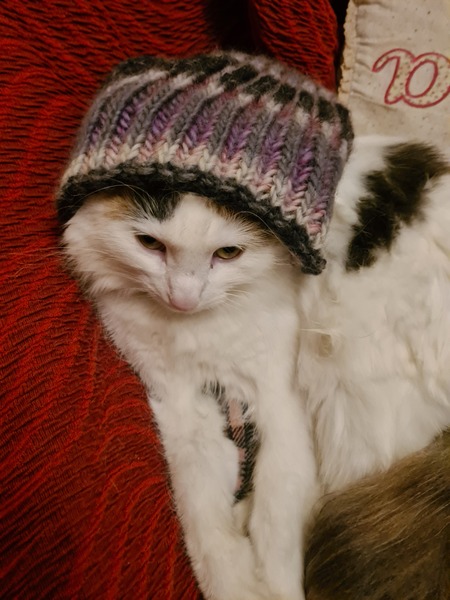 Knit, Crochet and Natter Thread