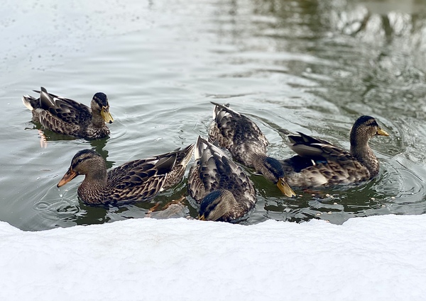 NOT what I expected to wake up to this morning...