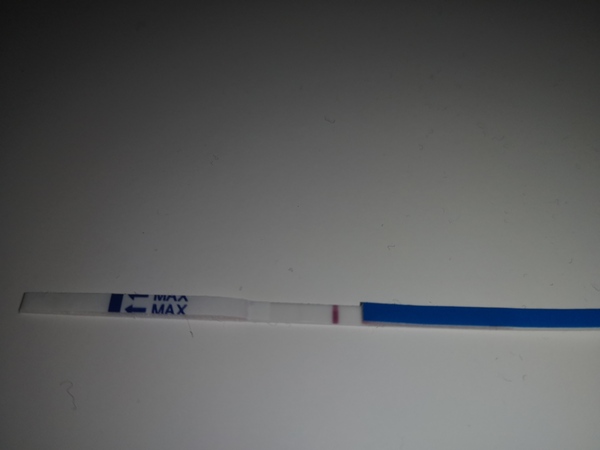 TWW for Christmas BFP, anyone else?