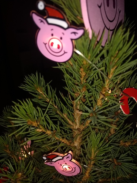 Festive Fledglings Flap Frantically Towards A Calm, Clutter-free Christmas!