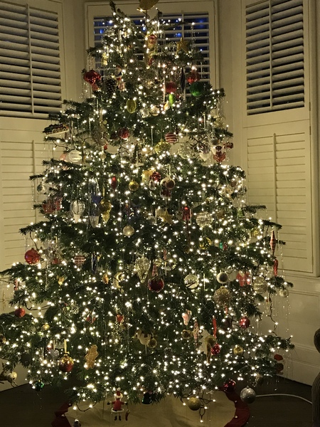 Is it too soon for Christmas tree thread?