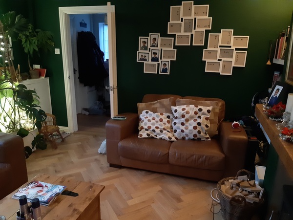 Please help me choose a new sofa and rug
