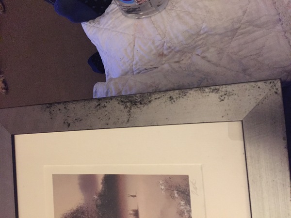 How do I salvage my picture frame?