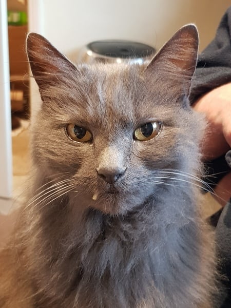 What's your DCat up to today? (Thread 8)