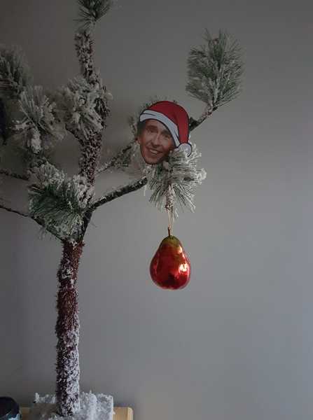 Get your trees out!!!!!