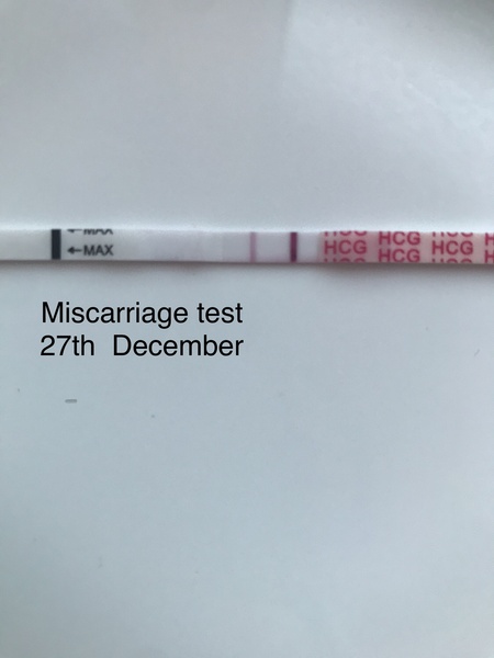 Support thread for women who are pregnant or TTC following a termination for abnormalities. Thread 7