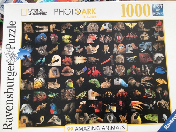 Anyone fancy a new jigsaw thread?