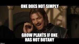 Can we have a meme thread?