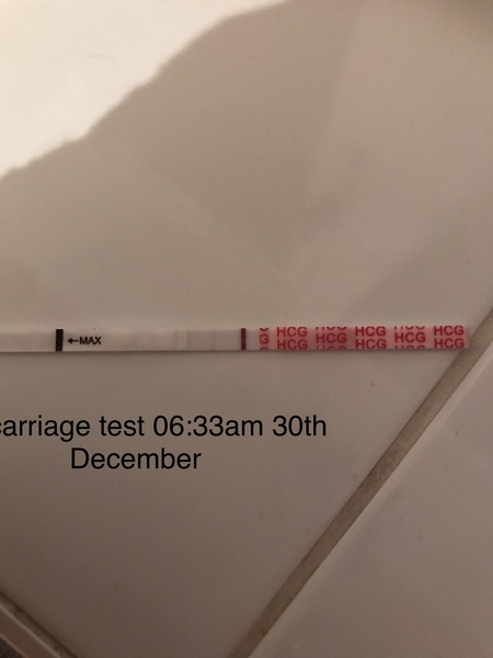 Support thread for women who are pregnant or TTC following a termination for abnormalities. Thread 7