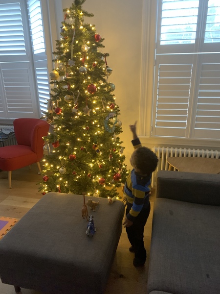 Get your trees out!!!!!