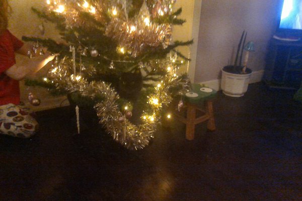 Top tips for Christmas trees with cats