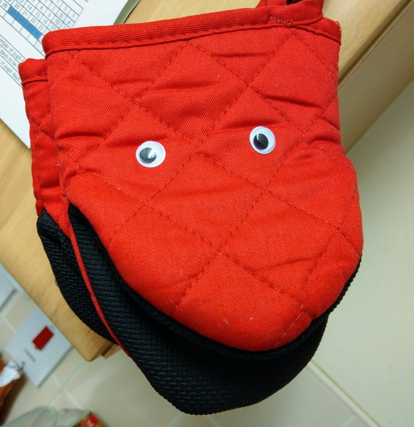 I put googly eyes on things around my home