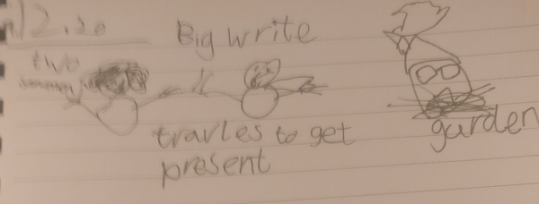 suggetions on write up by my boy