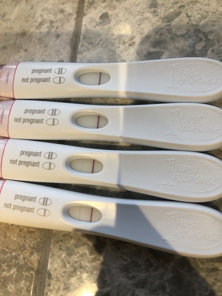 12dpo FRER