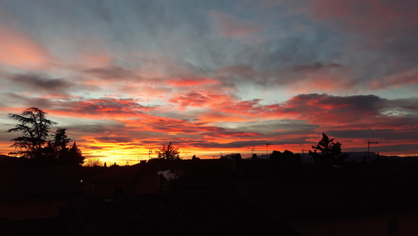 Westministenders: The Beginning of Negotiations