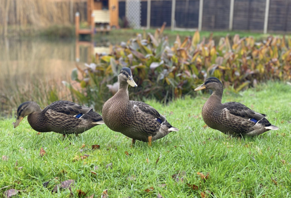 NOT what I expected to wake up to this morning...