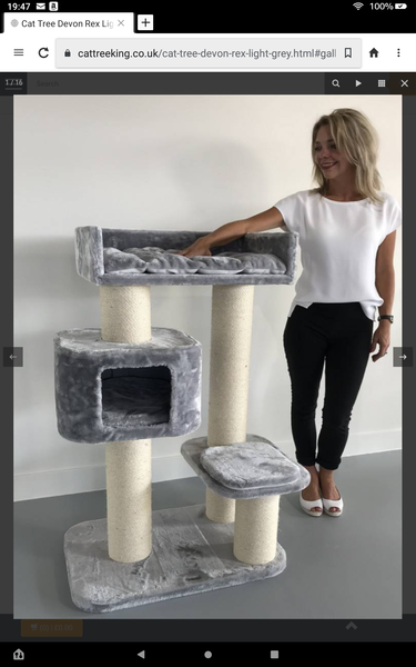 Show me your cat tree please!