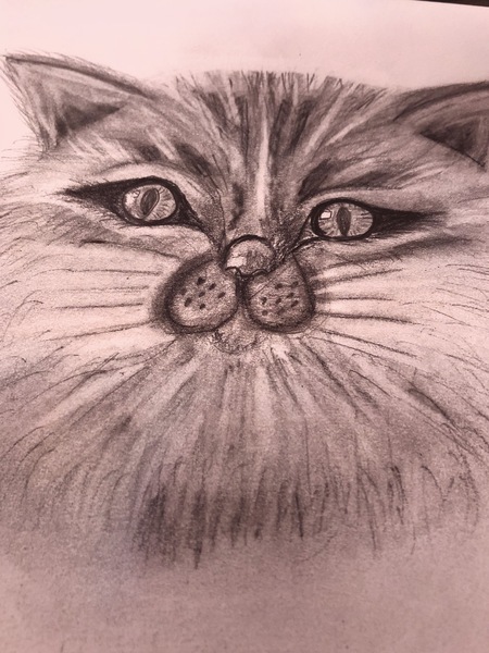 Is it possible to learn to draw?