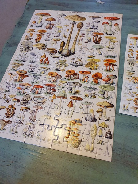 Anyone fancy a new jigsaw thread?