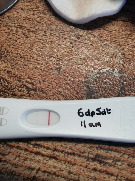 September 2021 babies 👶