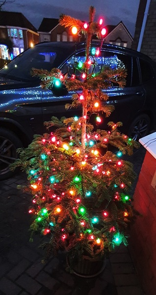 Coloured lights next year???