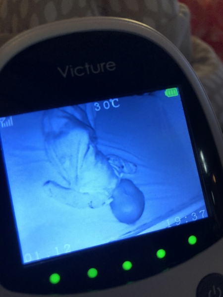 June 2020 Babies-Newborn, snuggles, recovery, milk and night feeds! 2nd thread