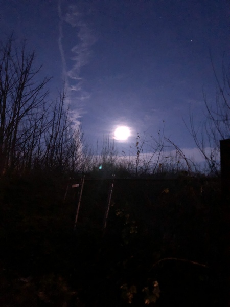 Any Witches Here? Part 12.