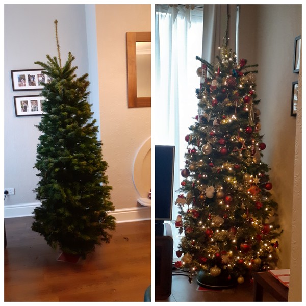Get your trees out!!!!!