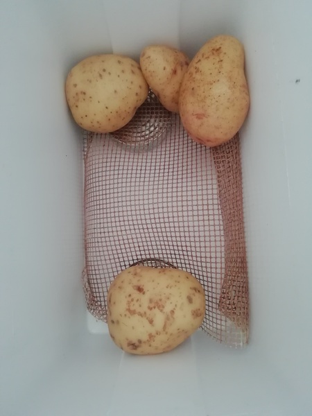 Hell is ever closer part 5: playing cupboard and fridge Tetris