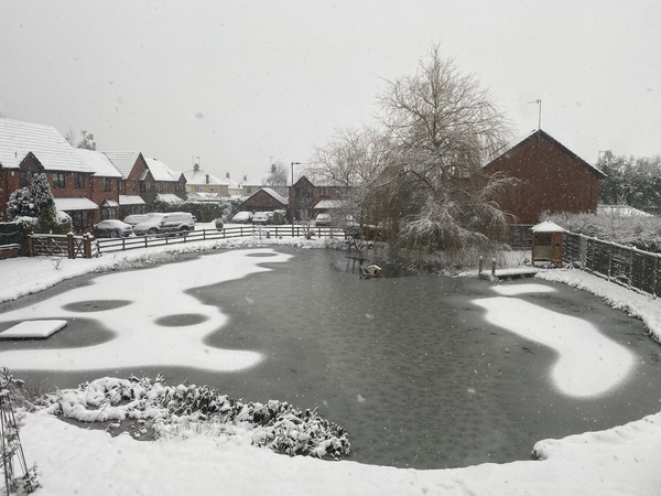 NOT what I expected to wake up to this morning...