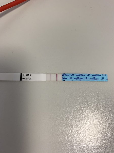 Have I ovulated?