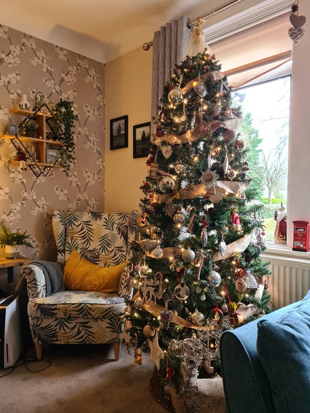 Get your trees out!!!!!