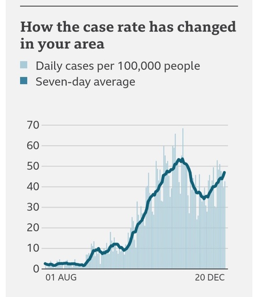What does your case rate graph look like?