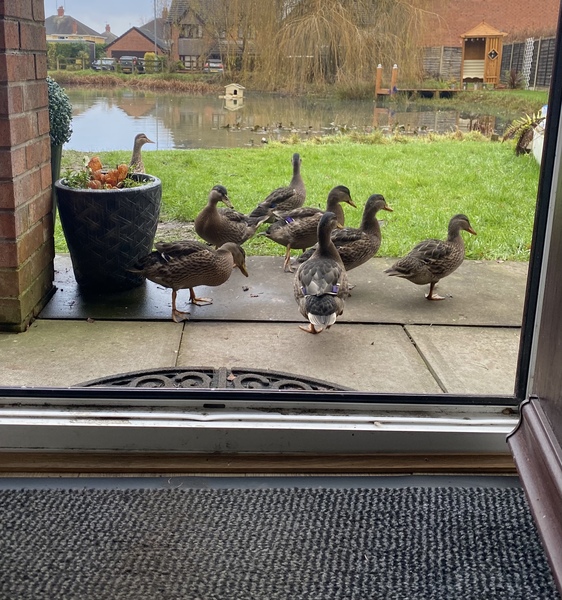 NOT what I expected to wake up to this morning...