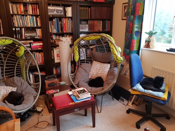 What's your DCat up to today? (Thread 8)