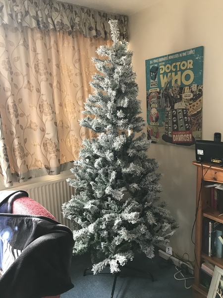 Get your trees out!!!!!