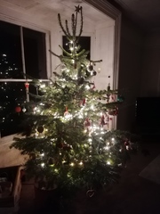 Get your trees out!!!!!