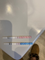 TTC after MC - Dec/Jan 2020 (Thread 16)