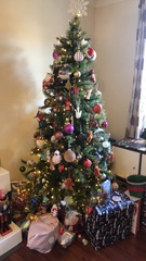 Get your trees out!!!!!