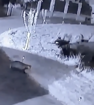 NOT what I expected to wake up to this morning...