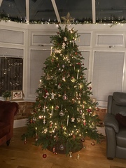 Get your trees out!!!!!
