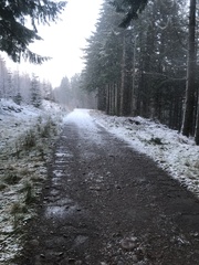 Running Thread 16