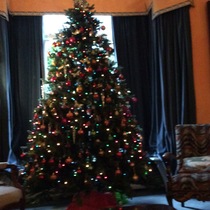 Can anyone recommend me a nice and plump artificIal tree for next year?