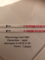 Support thread for women who are pregnant or TTC following a termination for abnormalities. Thread 7