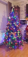 Get your trees out!!!!!