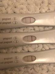 BFP, but no line progression from 10 DPO to 12 DPO