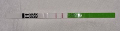 Is this OPK positive? SMEP