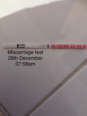 Support thread for women who are pregnant or TTC following a termination for abnormalities. Thread 7