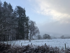 Running Thread 16