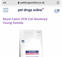 6month kittens won't eat !
